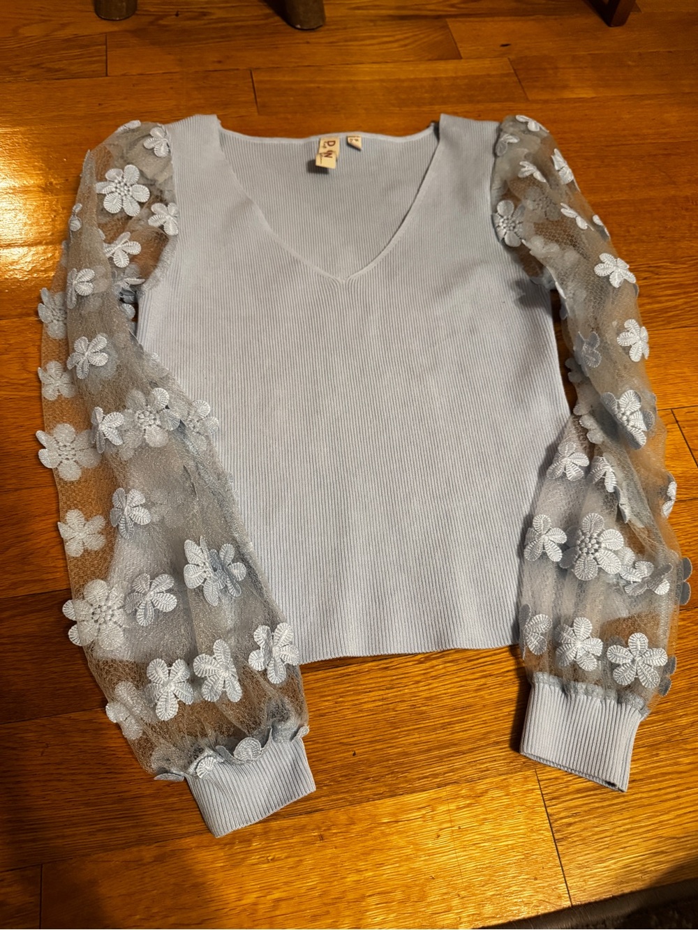 Dolan Anthropologie Light Blue V-Neck Sweater with Floral Sheer Puff Sleeves